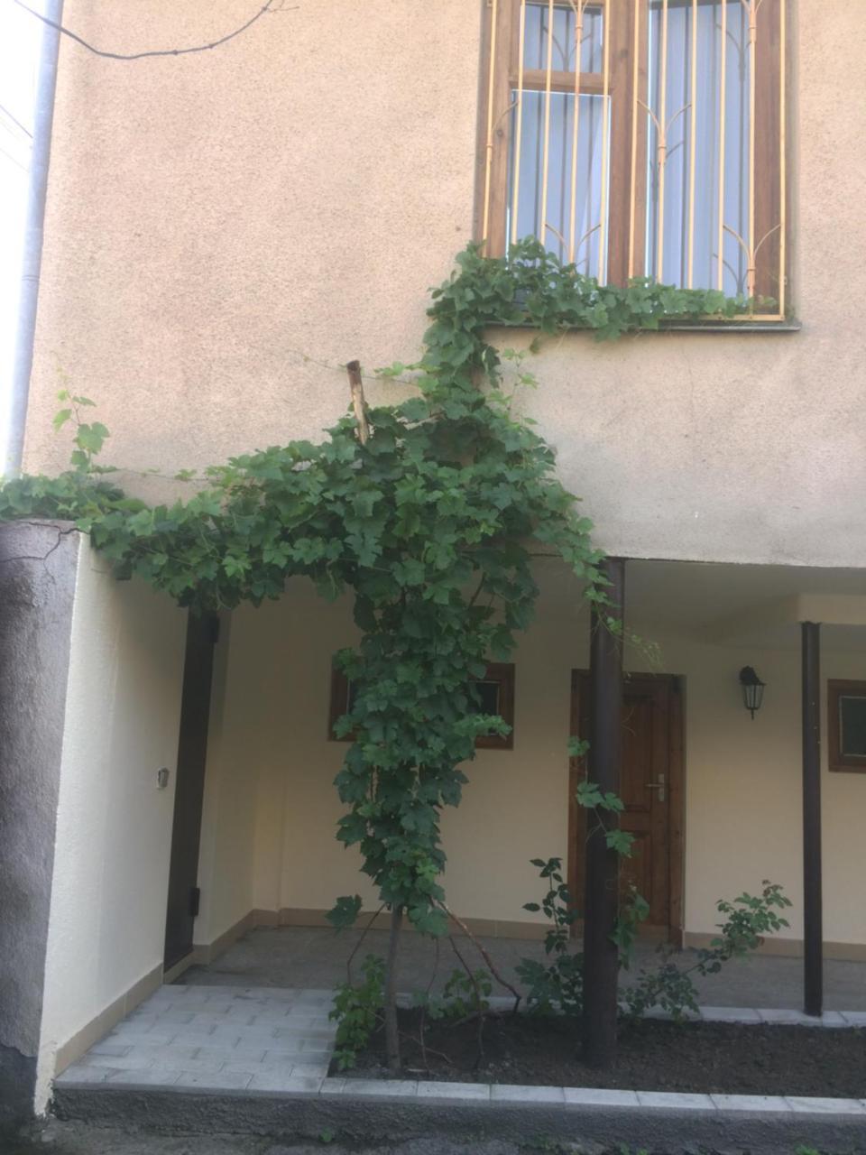 Guest House Kartuli Suli Telavi Esterno foto